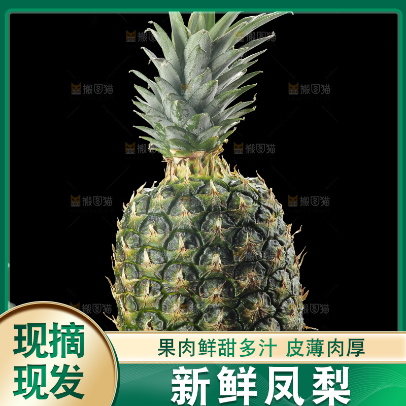 深底上的新鲜凤梨