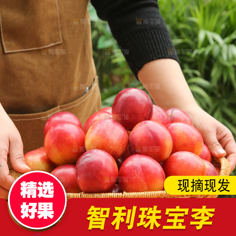 木底上的珠宝李