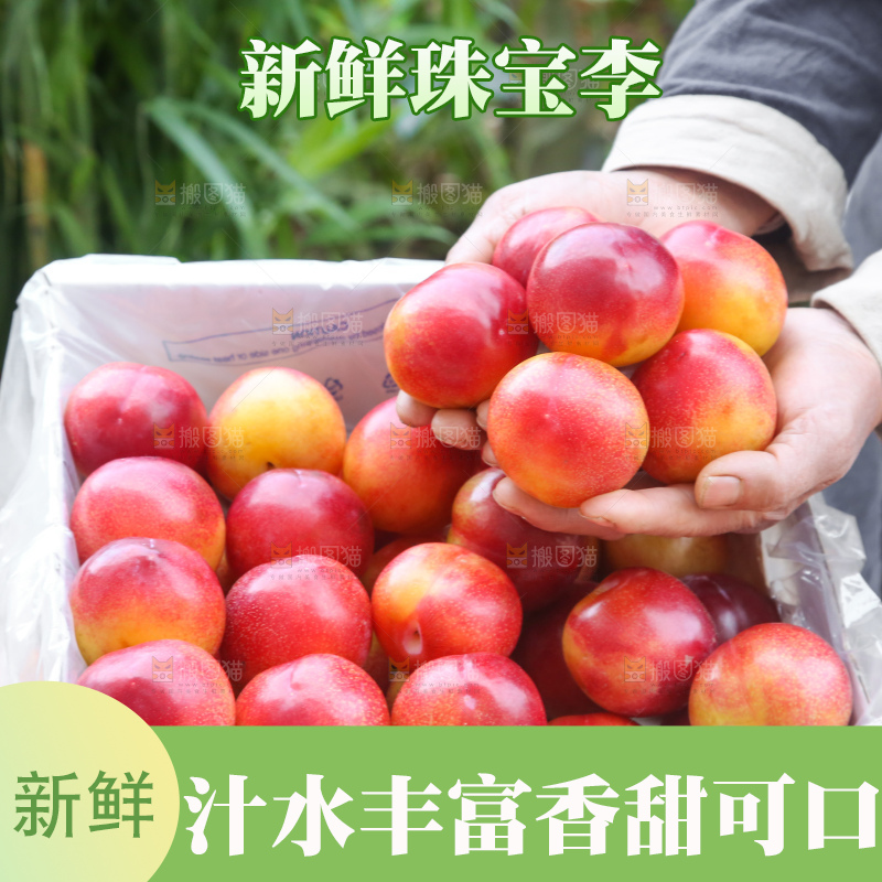 木底上的珠宝李