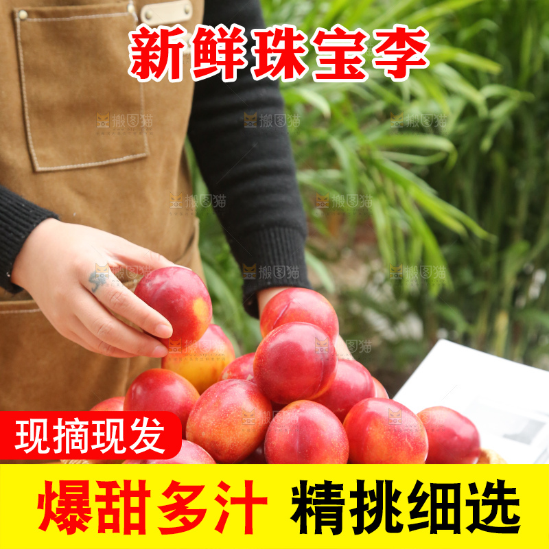 木底上的珠宝李