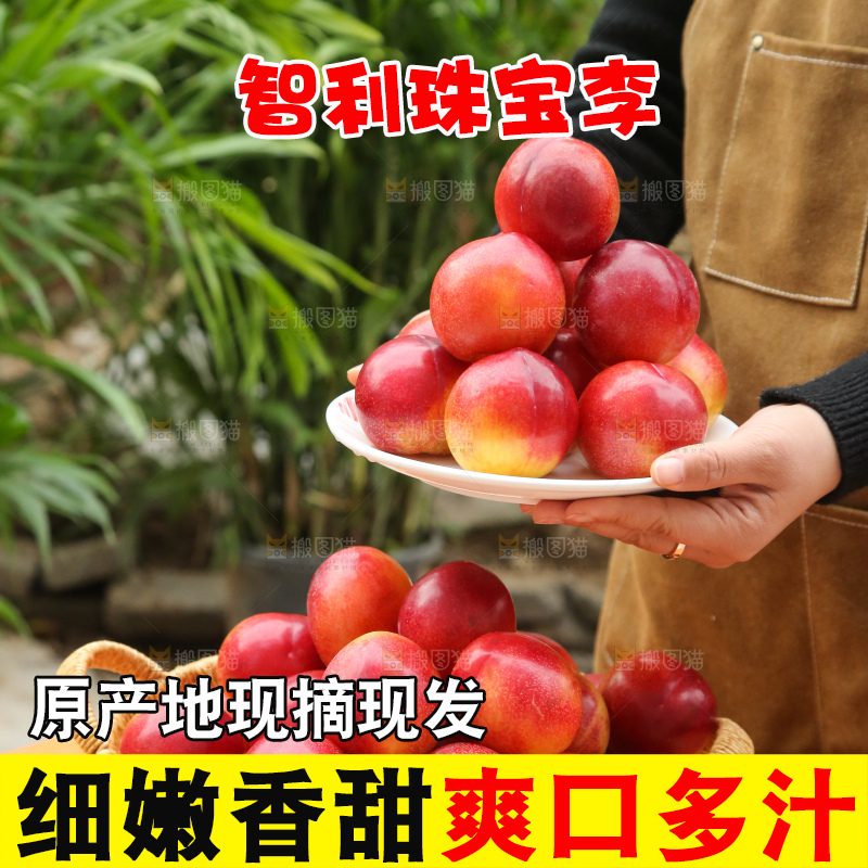 木底上的珠宝李