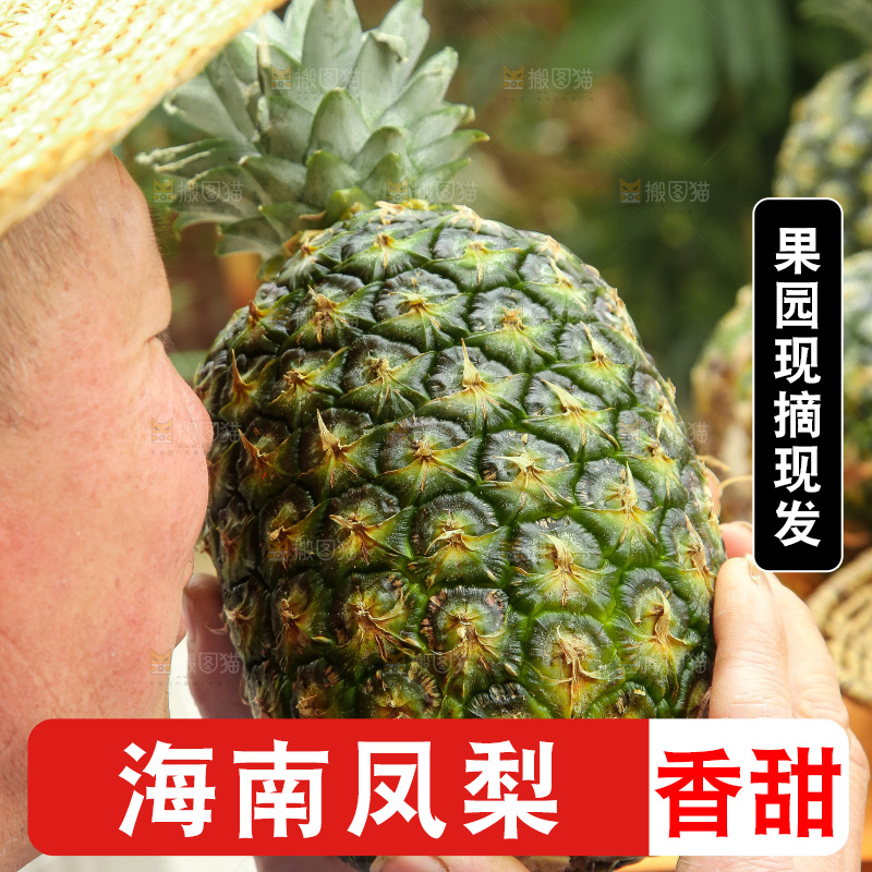 手里拿着新鲜凤梨