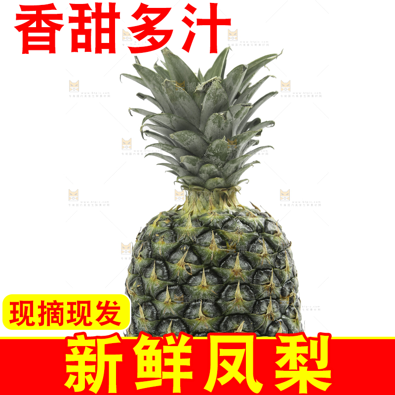 白底上的新鲜凤梨