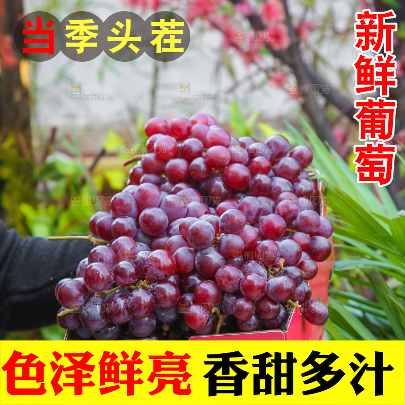 手里拿着新鲜葡萄