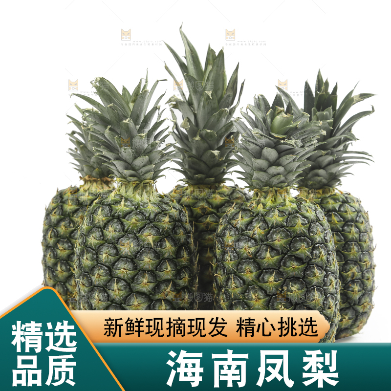 白底上的新鲜凤梨