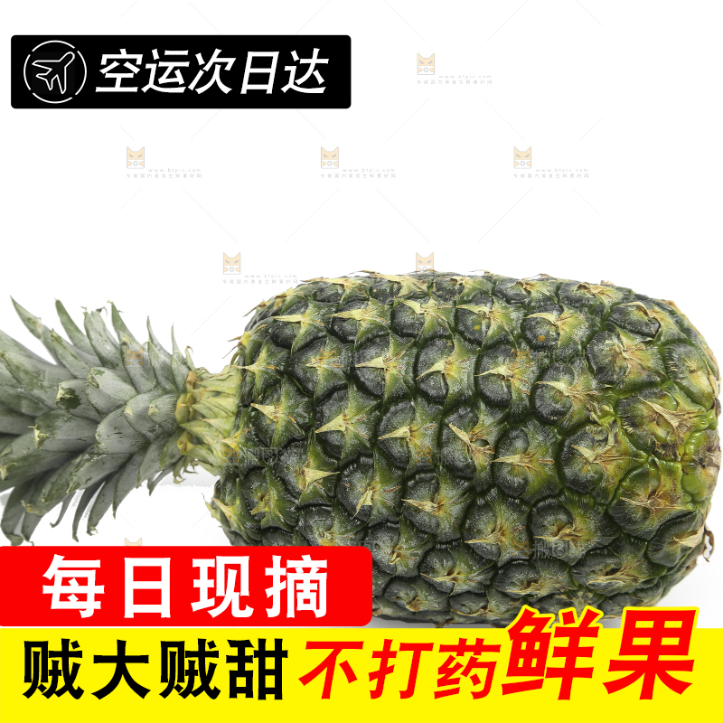 白底上的新鲜凤梨