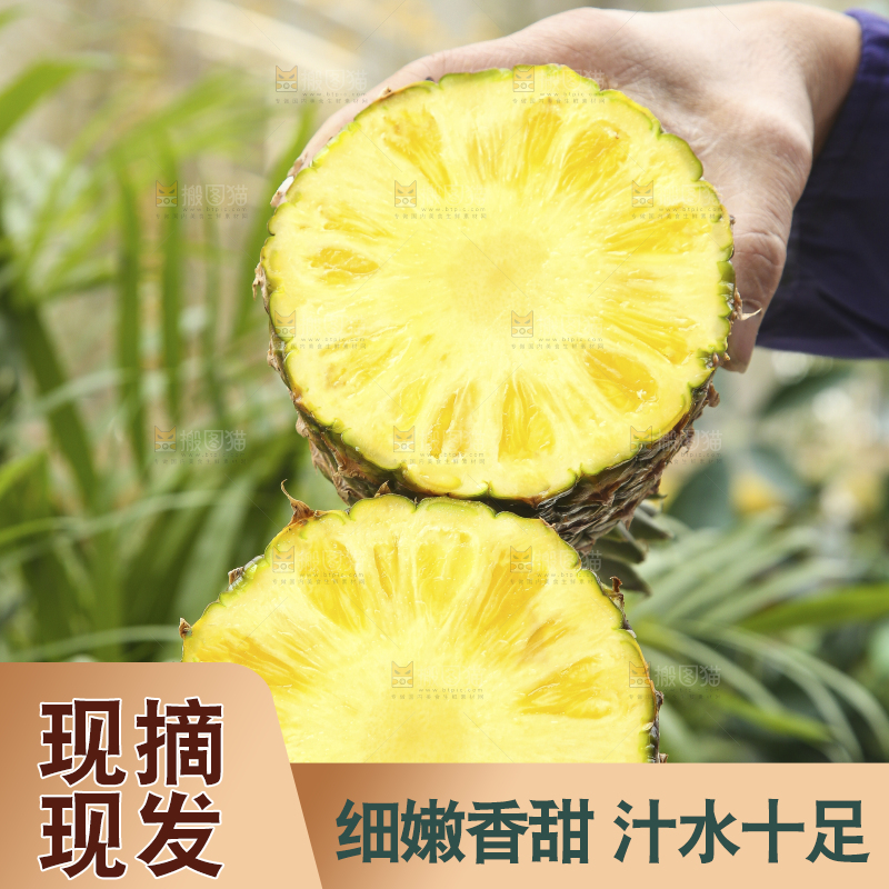 手里拿着新鲜凤梨