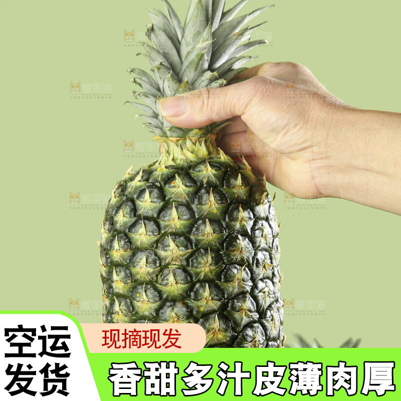 深底上的新鲜凤梨