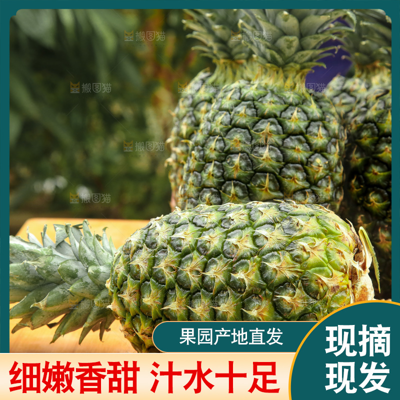 手里拿着新鲜凤梨