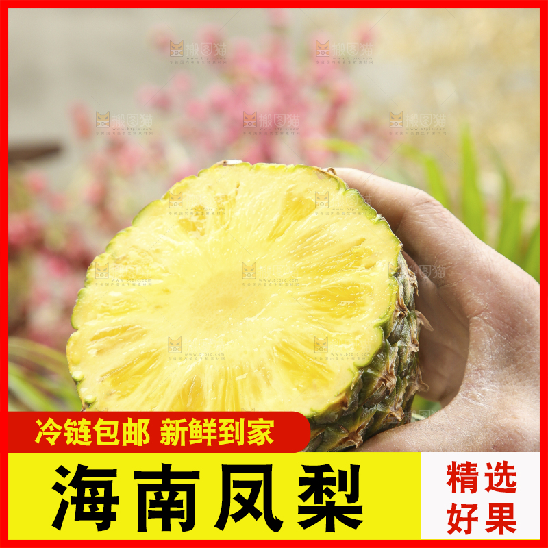 手里拿着新鲜凤梨