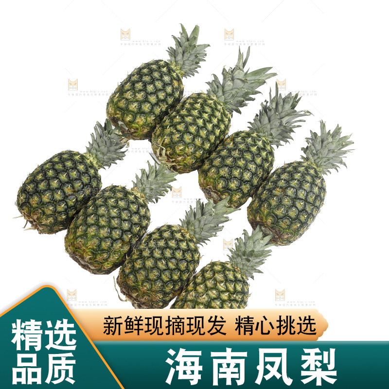 白底上的新鲜凤梨