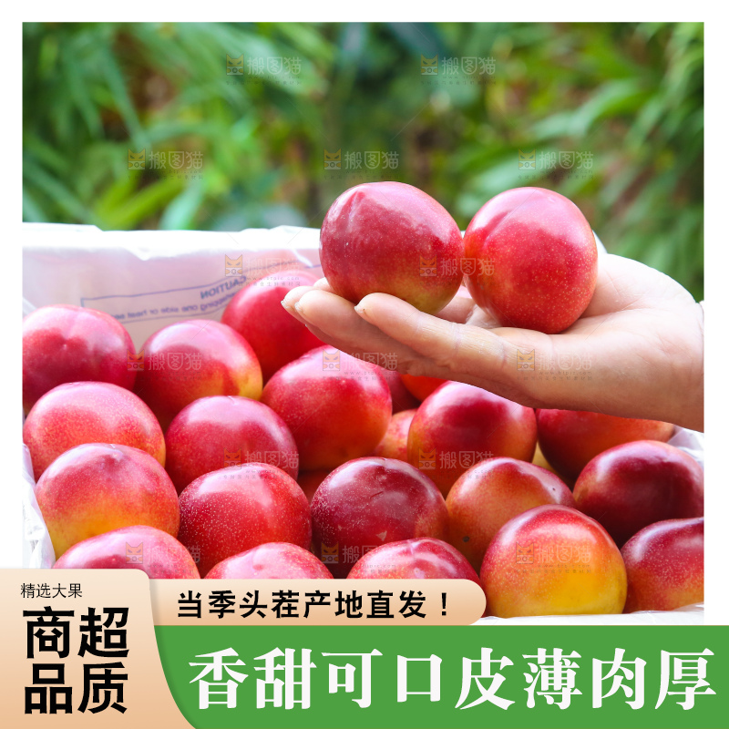 木底上的珠宝李