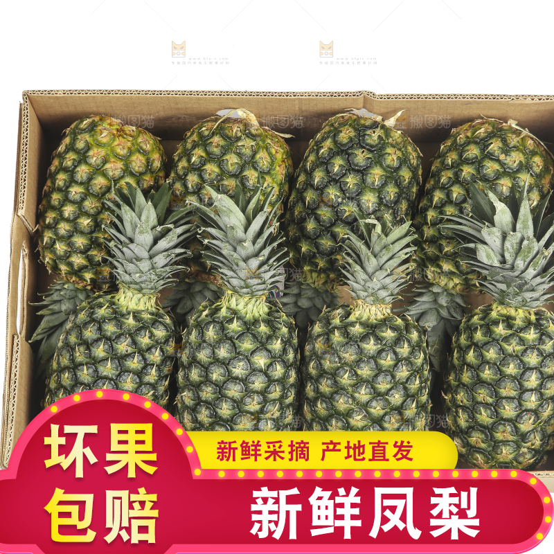 白底上的新鲜凤梨