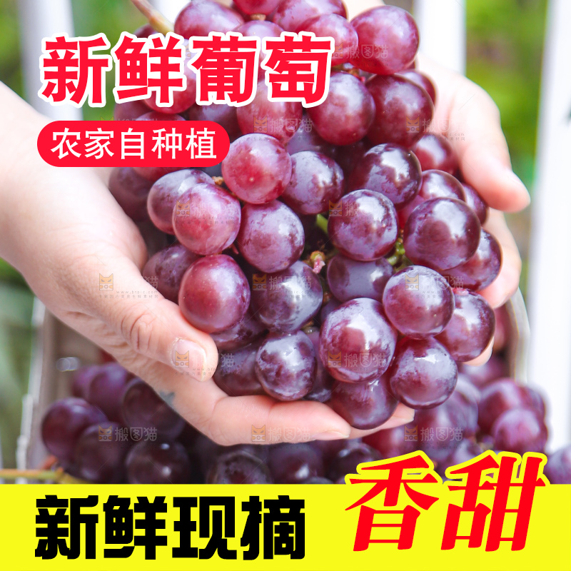 手里拿着新鲜葡萄