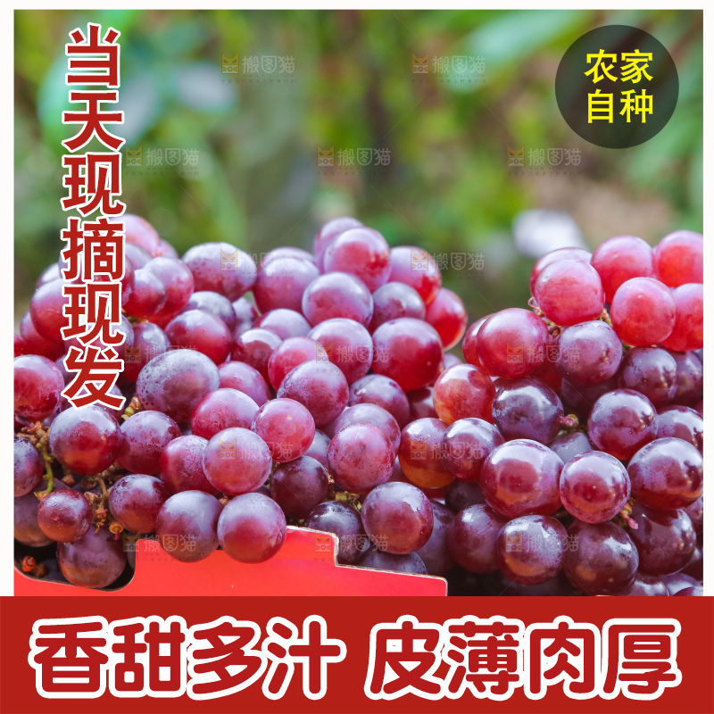 手里拿着新鲜葡萄