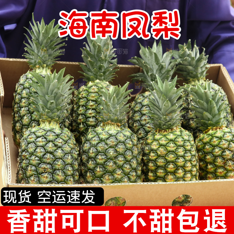 手里拿着新鲜凤梨