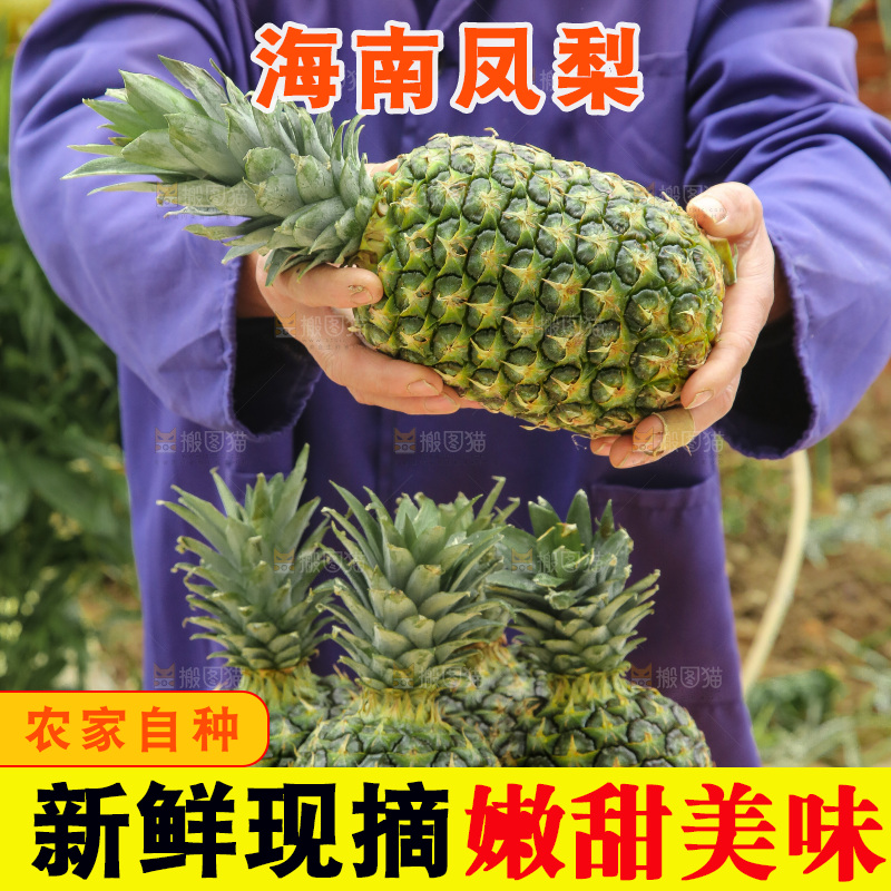 手里拿着新鲜凤梨