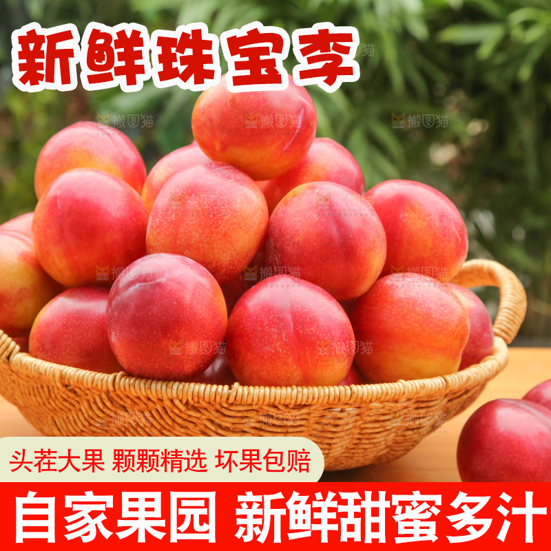 木底上的珠宝李