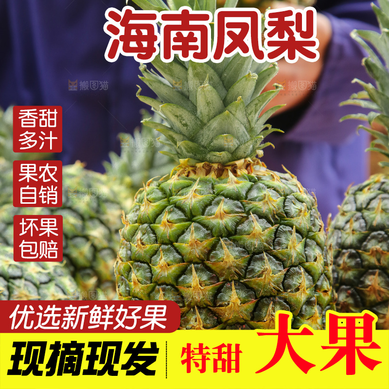 手里拿着新鲜凤梨