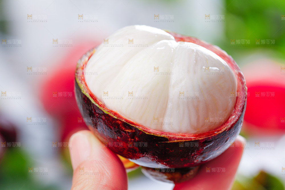 山竹
