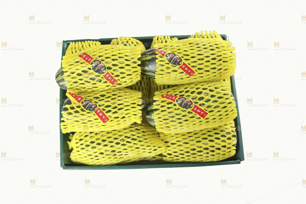 白底上的博洋9号