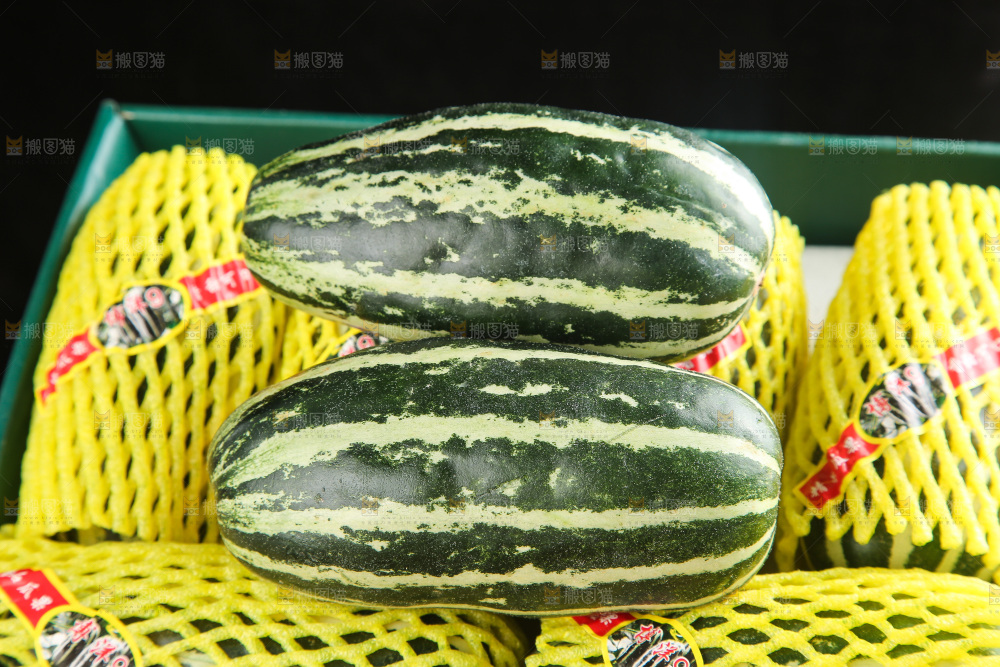 木底上的博洋9号