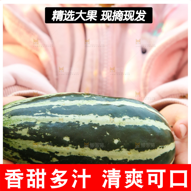 手里拿着博洋9号