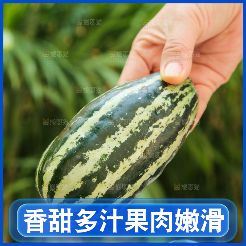 手里拿着博洋9号