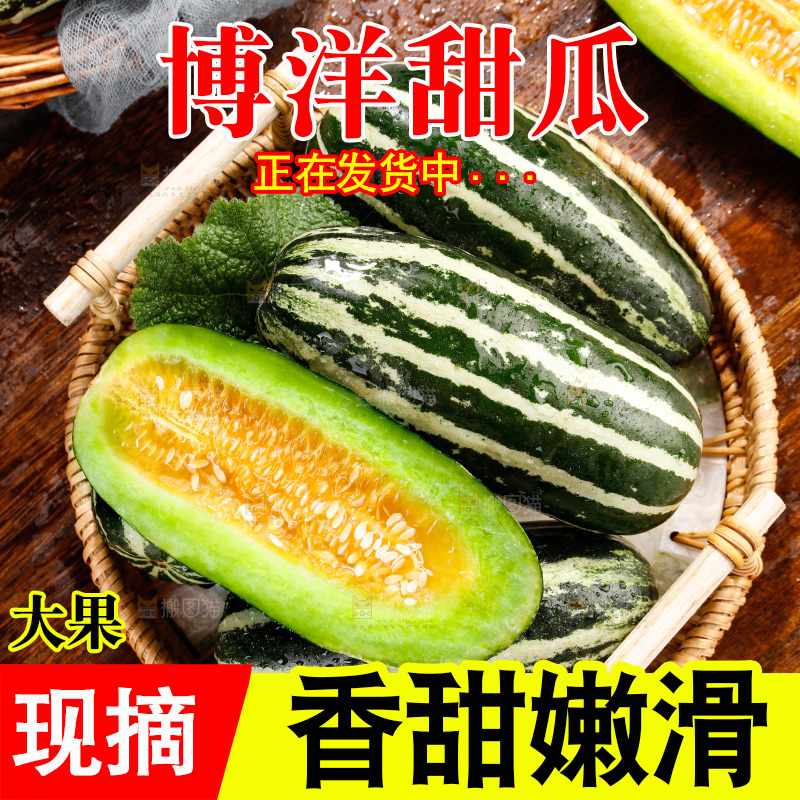 木底上的博洋9号