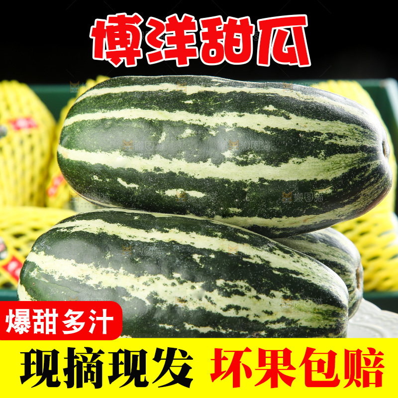 木底上的博洋9号