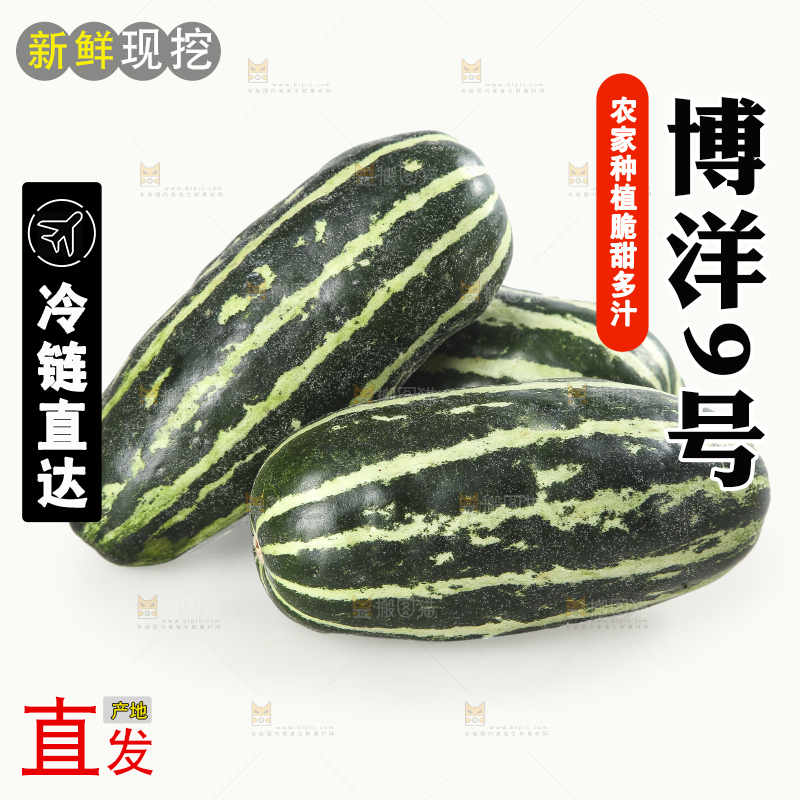 白底上的博洋9号