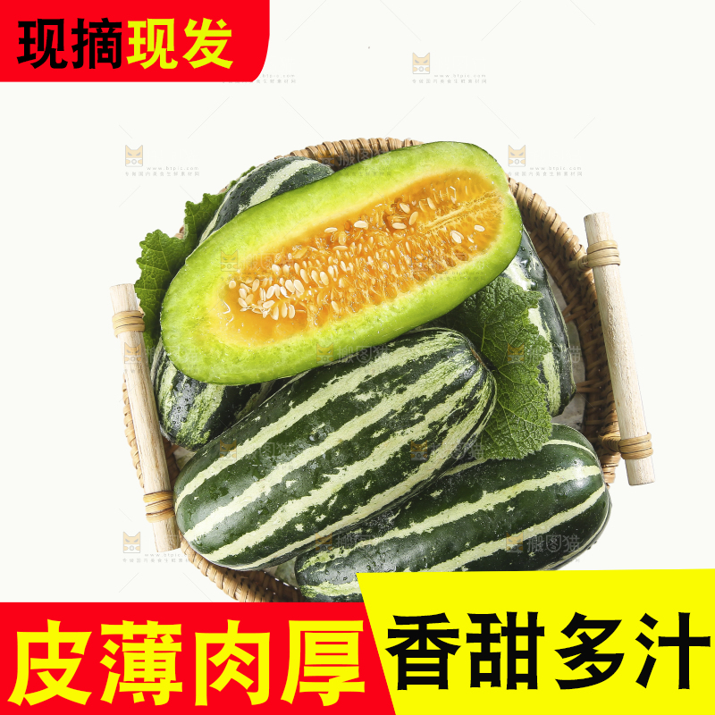 白底上的博洋9号