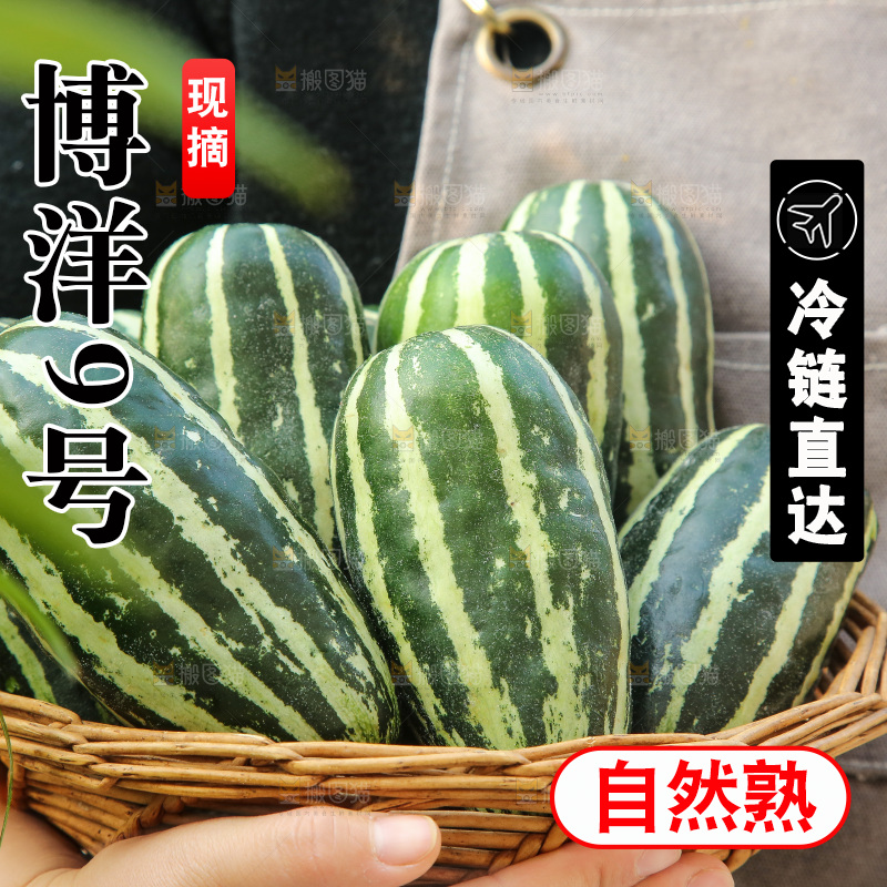 手里拿着博洋9号