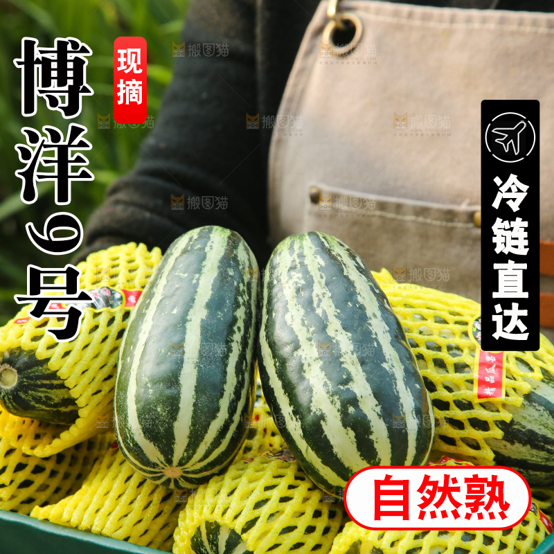 手里拿着博洋9号