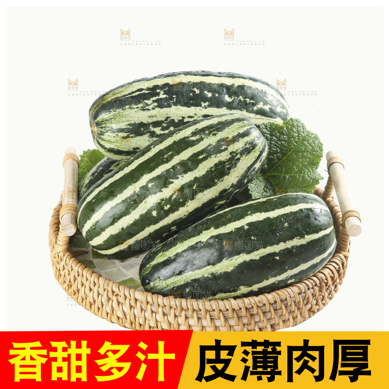 白底上的博洋9号