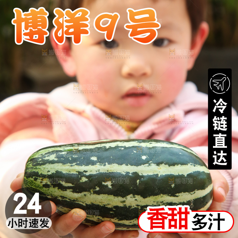 手里拿着博洋9号