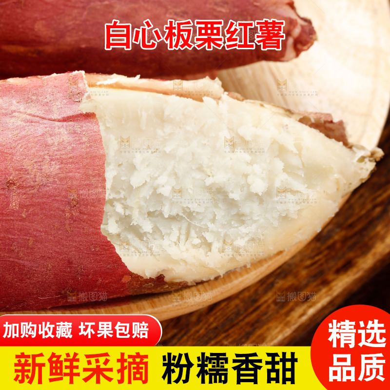 木底上的白心板栗薯