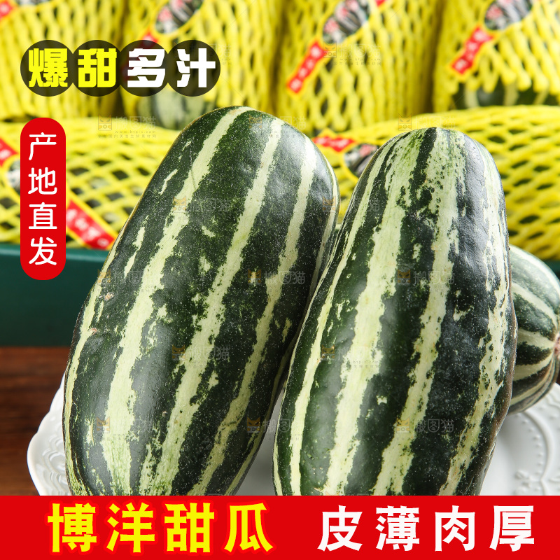 木底上的博洋9号
