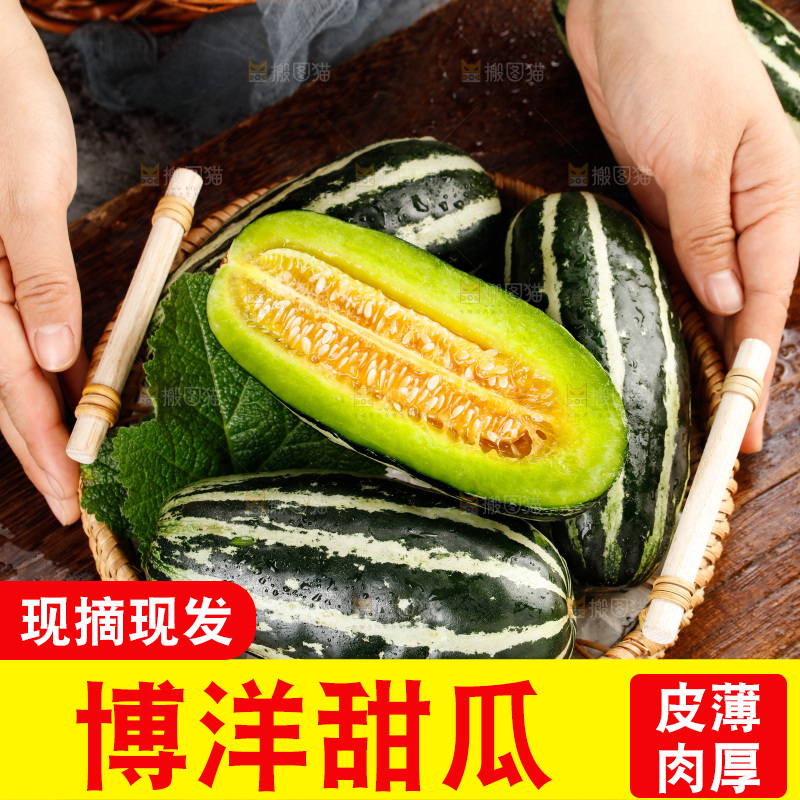 木底上的博洋9号