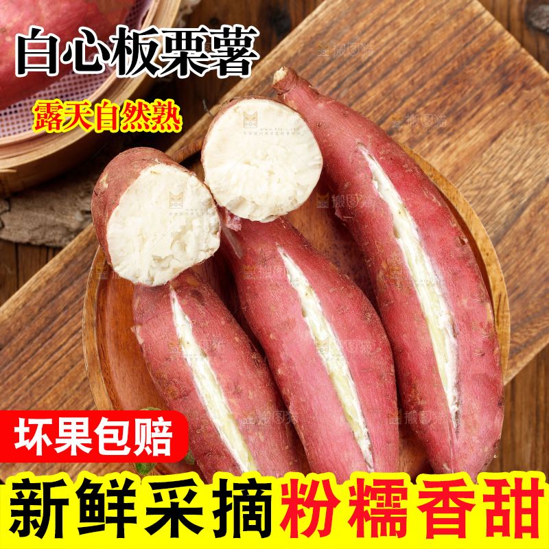 木底上的白心板栗薯