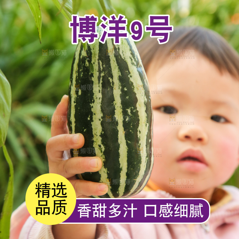 手里拿着博洋9号