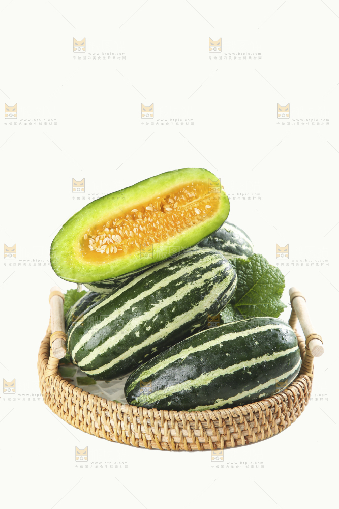 白底上的博洋9号