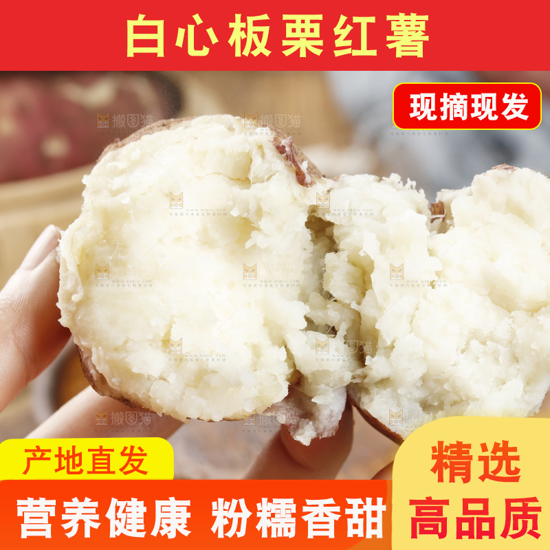 木底上的白心板栗薯