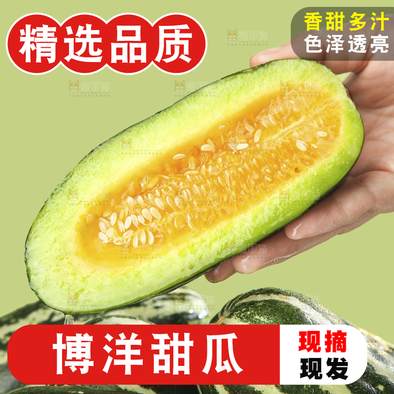 浅底上的博洋9号