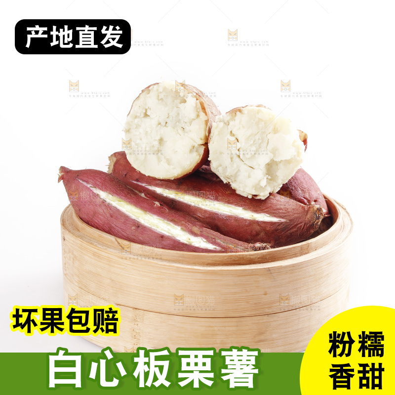 白底放着白心板栗薯
