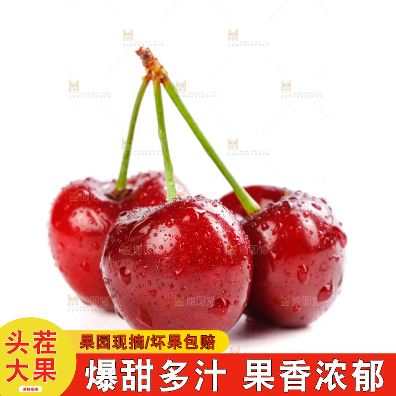 白底上的樱桃