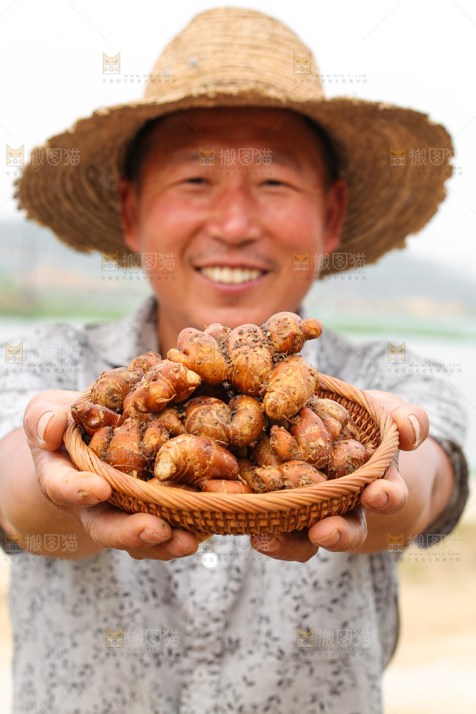 手里拿着沙姜