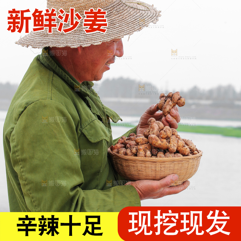 手里拿着沙姜