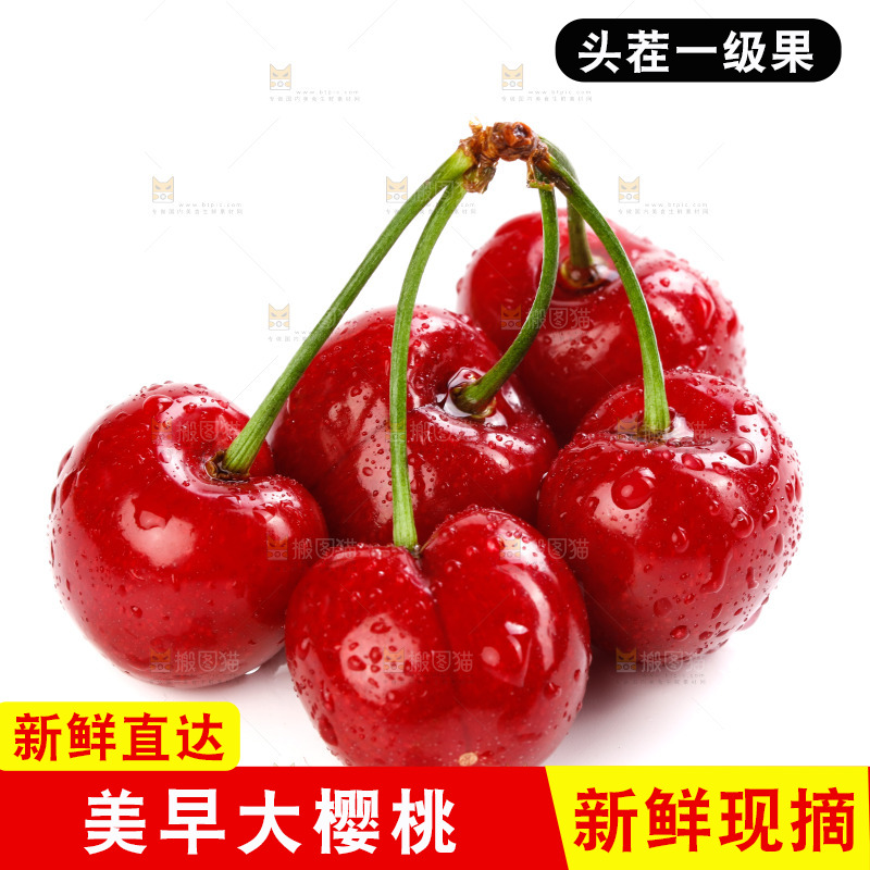 白底上的樱桃