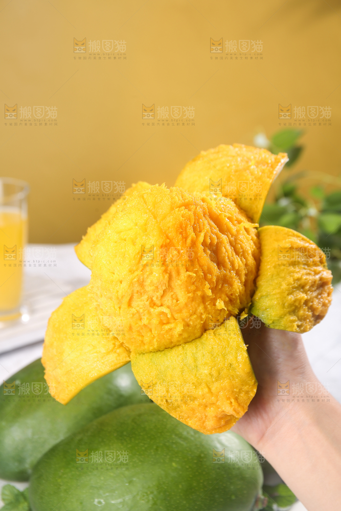 浅底上的凯特芒